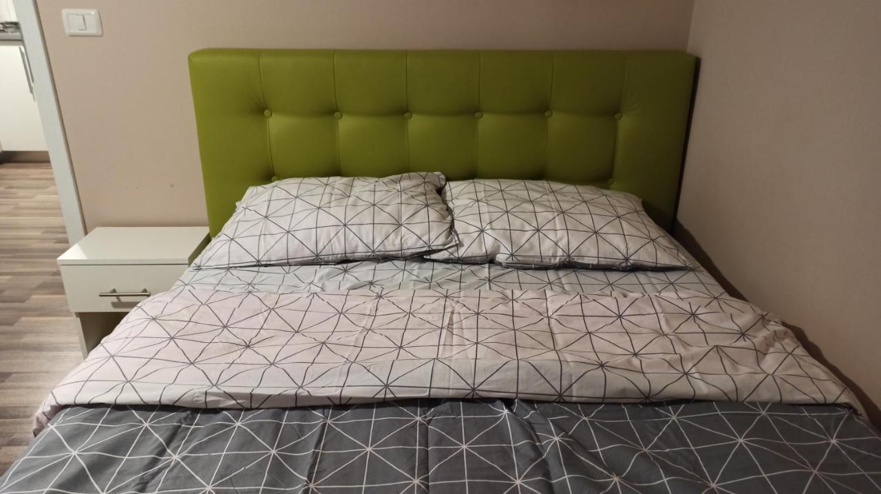 Cozy Home Bujorilor 蒂米什瓦拉 外观 照片