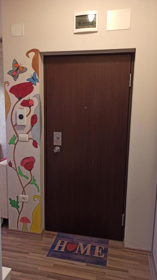 Cozy Home Bujorilor 蒂米什瓦拉 外观 照片